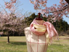 【終了】春の草木染め　３色のパステルカラー